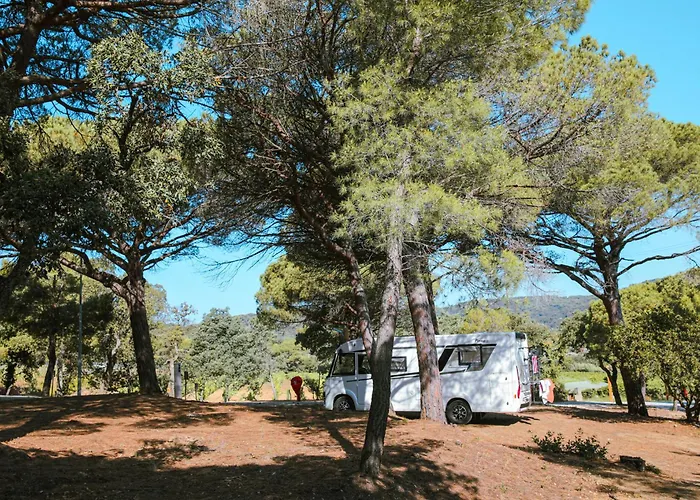 Hôtel accueillant les animaux: Camping Ladouceur